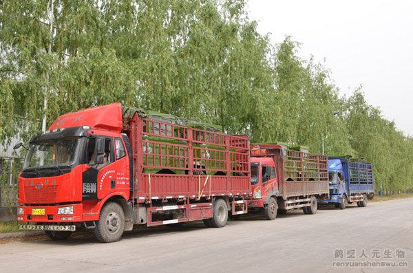 �����Ñ�(h��)ӆُ(g��u)���ЙC(j��)���O(sh��)���(zh��n)��l(f��)؛