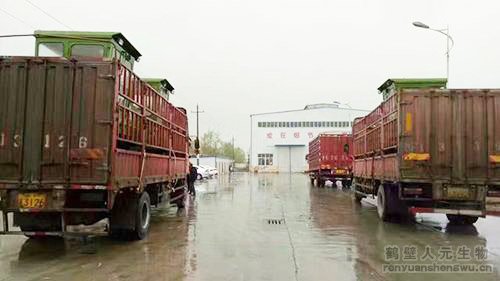 ɽ�|�ЙC(j��)���O(sh��)������l(f��)؛-�b܇�ꮅ