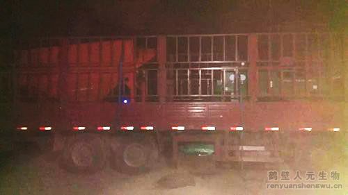 ɽ���ЙC(j��)���O(sh��)���b܇�F(xi��n)��(ch��ng)3