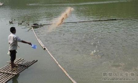 ��a(ch��n)20�f���u�S���Ãrֵ�c�ЙC�����a(ch��n)��