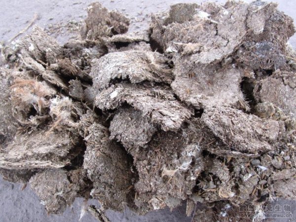 �u�S�ЙC�ʼӹ��O��������B(y��ng)ֳ���ṩ�h(hu��n)���³�·