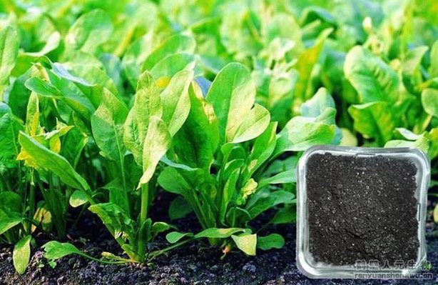 �ЙC(j��)�����a(ch��n)�S���䷽ʩ�ʼ��g(sh��)