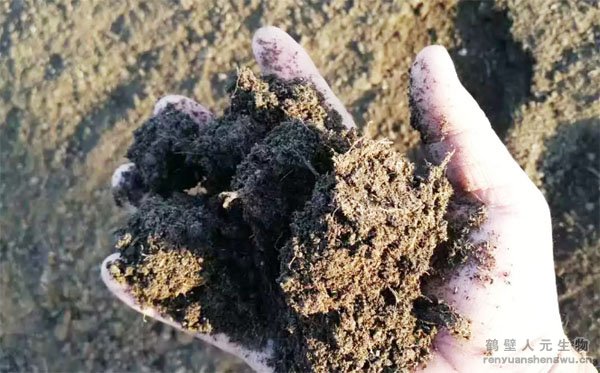 �����C�����ӌ����ݼS���D(zhu��n)�����ЙC���ϵģ�