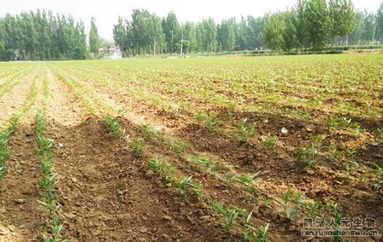 �����C�����ӌ����ݼS���D(zhu��n)�����ЙC���ϵģ�